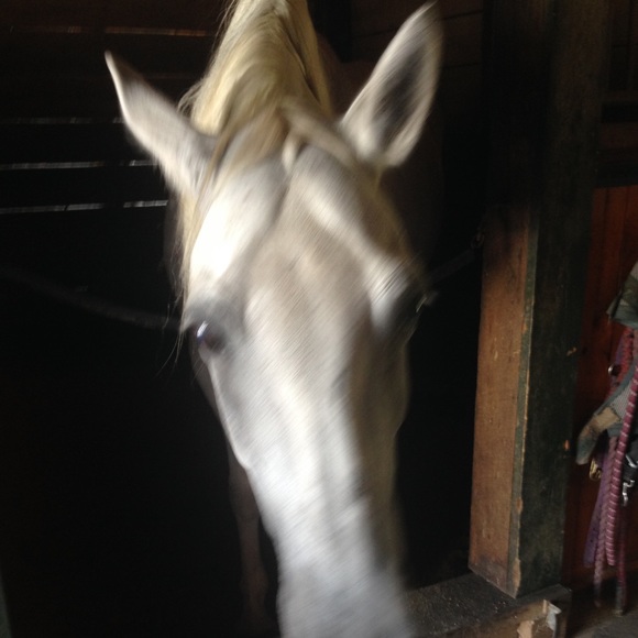 Meet your Posher, Jen - Picture 1 of 1